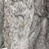 rabbit fur ラビットファージャケット レディース