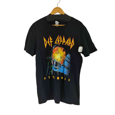 ギルダン GILDAN PYROMANIA アートワーク プリント S/S Tシャツ メンズ import:L
