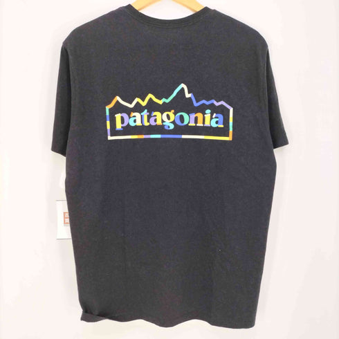 パタゴニア patagonia 24ss ユニティ フィッツ レスポンシビリティー Tシャツ メンズ import:S