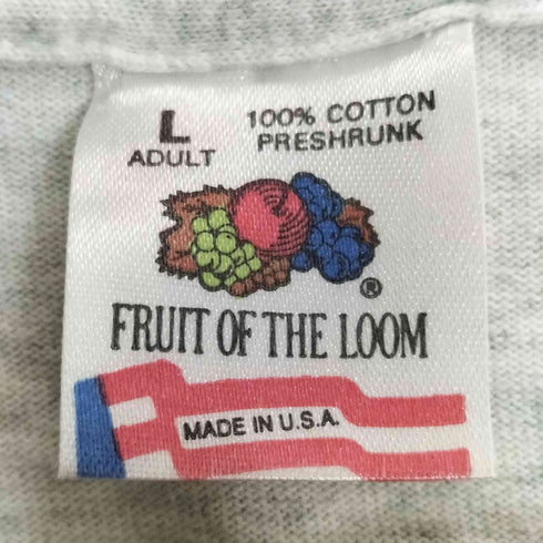 フルーツオブザルーム FRUIT OF THE LOOM 90S USA製 シングルステッチ プリント Tシャツ 1994 KUJU OITA メンズ import:L