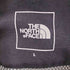 ザノースフェイス THE NORTH FACE Gear Mesh Vest メンズ import:L
