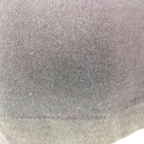 フルーツオブザルーム FRUIT OF THE LOOM 90s スーベニア フロッキープリントTシャツ メンズ L
