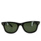 レイバン Ray-Ban イタリア製 WAYFARER サングラス メンズ 50□22 150