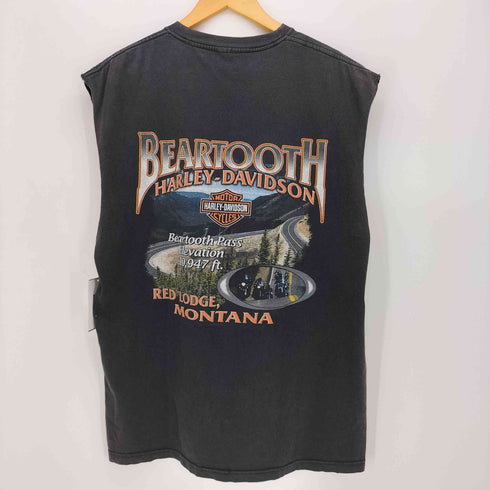 ハーレーダビッドソン HARLEY-DAVIDSON 両面プリント ピエロ ブルー フレイム ノースリーブ Tシャツ タンクトップ メンズ