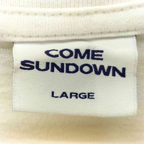 COME SUNDOWN 刺繍デザイン Tシャツ 半袖 カットソー メンズ JPN:L