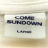 COME SUNDOWN 刺繍デザイン Tシャツ 半袖 カットソー メンズ JPN:L