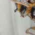 ヴィヴィアンウエストウッドマン Vivienne Westwood MAN ハニービーリラックスTシャツ メンズ JPN:44