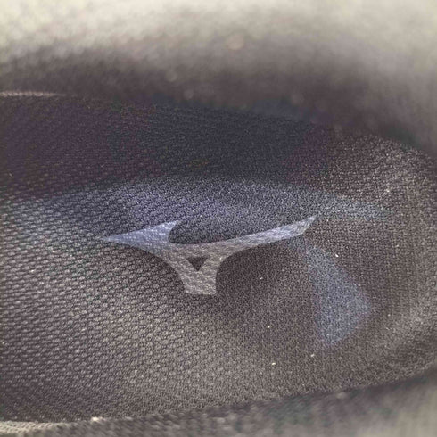 ミズノ MIZUNO ウエーブシーク ウォーキング メンズ JPN:26.5