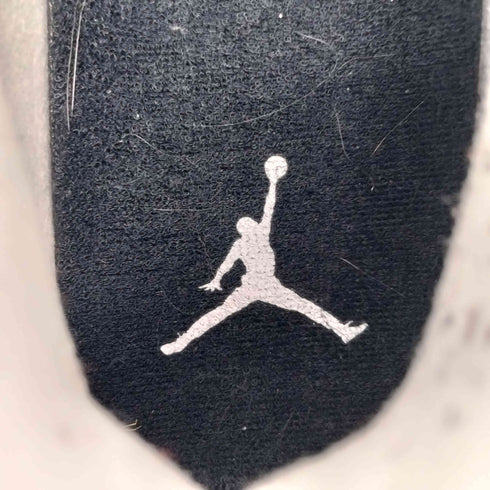ナイキ NIKE Air Jordan 4 Retro Fear メンズ JPN:29