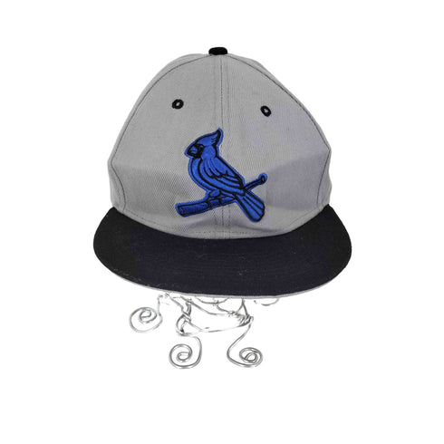 ニューエラ NEW ERA 6パネルキャップ メンズ
