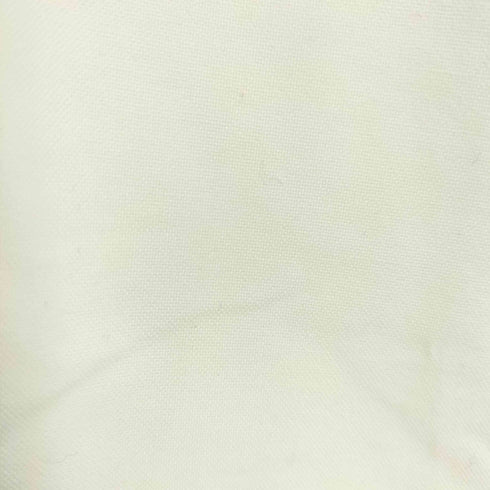 インディヴィジュアライズドシャツ individualized shirts STANDARD FIT S/S BDコットンシャツ レディース JPN:15号