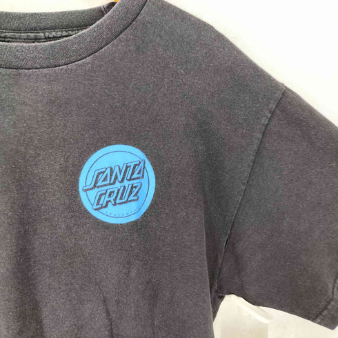 サンタクルズ SANTA CRUZ ロゴプリント S/S カットソー メンズ L
