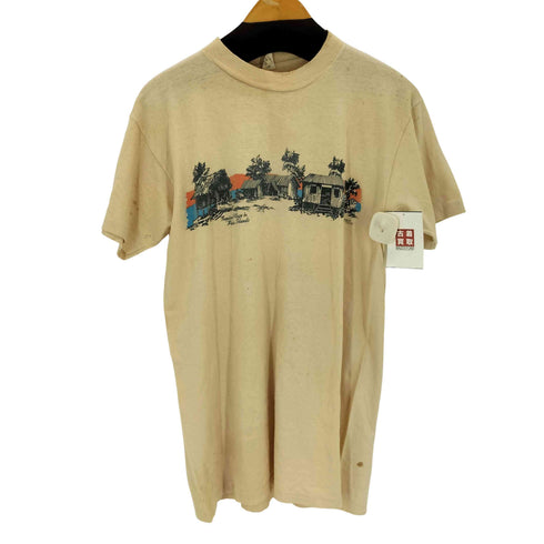 ヘインズ Hanes 70s 三角タグ プリントTシャツ メンズ import:L