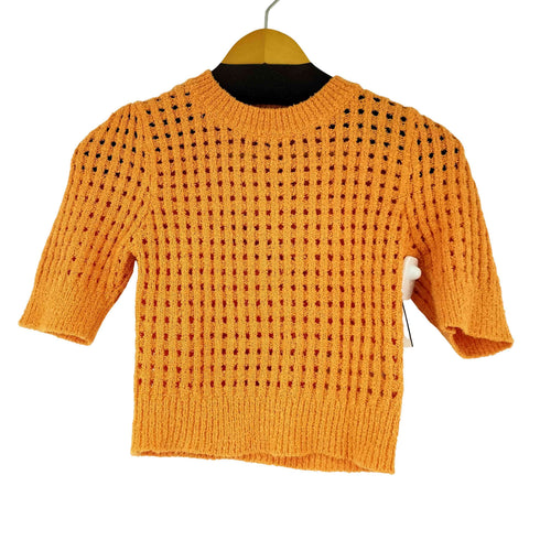 ザラ ZARA S/S メッシュニットトップス レディース import:M