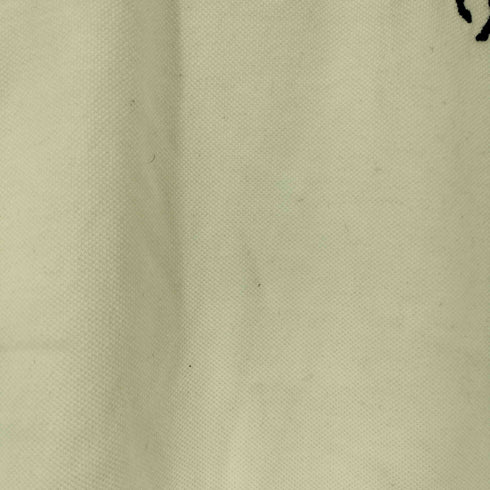 ラルフローレン RALPH LAUREN THE SKINNY POLO ビックポニー刺繍 S/S ポロシャツ レディース import:L