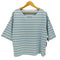 ヘリーハンセン HELLY HANSEN Vネックボーダー S/S Tシャツ レディース WL