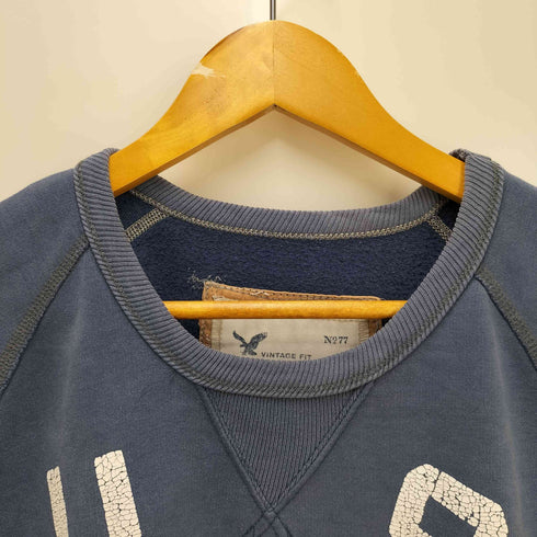 アメリカンイーグルアウトフィッターズ AMERICAN EAGLE OUTFITTERS ラバープリント クルーネックスウェット メンズ import:L