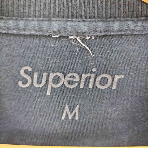 superior テーマパークキャラクタープリント ペイズリー柄 S/S Tシャツ メンズ import:M
