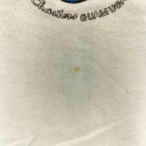 フルーツオブザルーム FRUIT OF THE LOOM 90S メキシコ製 企業ロゴ FISH ON プリント S/S Tシャツ メンズ import:M