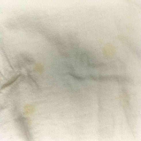 フルーツオブザルーム FRUIT OF THE LOOM 90S メキシコ製 企業ロゴ FISH ON プリント S/S Tシャツ メンズ import:M