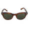 GLOBE SPECS グローブスペックス UNITED ARROWS コラボ サングラス ウェリントン メンズ 49□22