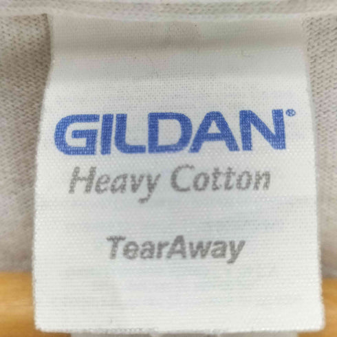 ギルダン GILDAN 大判フォトプリントTシャツ メンズ import:XL