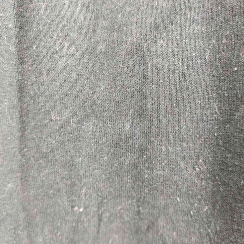 フルーツオブザルーム FRUIT OF THE LOOM 90S BEST バックスカルデザイン S/S Tシャツ メンズ import:M