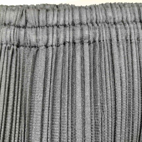 プリーツプリーズイッセイミヤケ PLEATS PLEASE ISSEY MIYAKE プリーツイージーパンツ レディース JPN:2