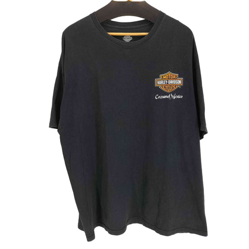 ハーレーダビッドソン HARLEY-DAVIDSON Cozumel Mexico 両面プリント S/S Tシャツ メンズ 3L