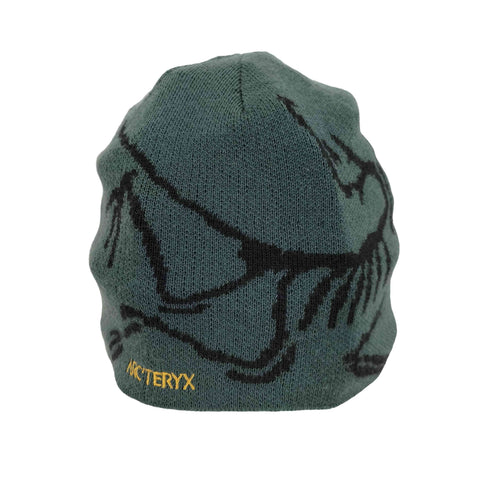 アークテリクス ARCTERYX BIRD HEAD TOQUE メンズ