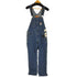 リーバイス Levis デニムオーバーオール メンズ M