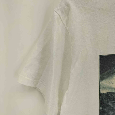 ヘインズ Hanes 90s USA製シングルステッチ フォトプリント クルーネックTシャツ メンズ import:M