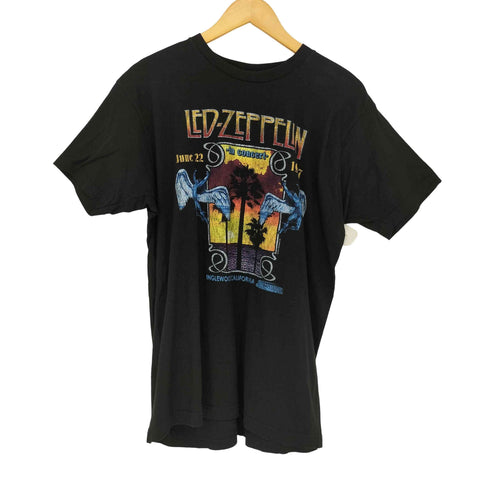 タルテックス TULTEX バンドTシャツ メンズ import:L