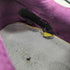 ニューバランス NEW BALANCE M992BA MADE IN USA ローカット スニーカー メンズ JPN:27