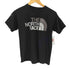 ザノースフェイス THE NORTH FACE ロゴグラフィック S/S Tシャツ レディース import:M