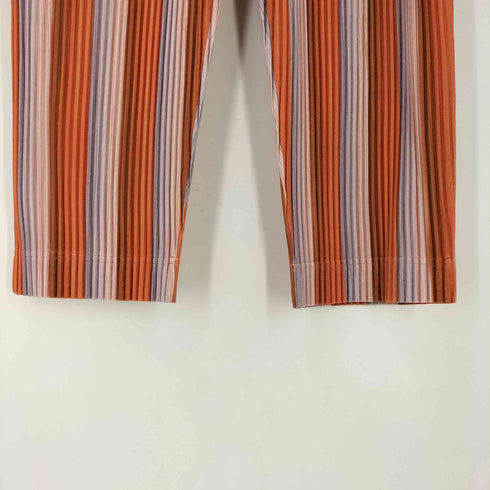 オムプリッセイッセイミヤケ HOMME PLISSE ISSEY MIYAKE RB STRIPES 2 プリーツパンツ メンズ 1