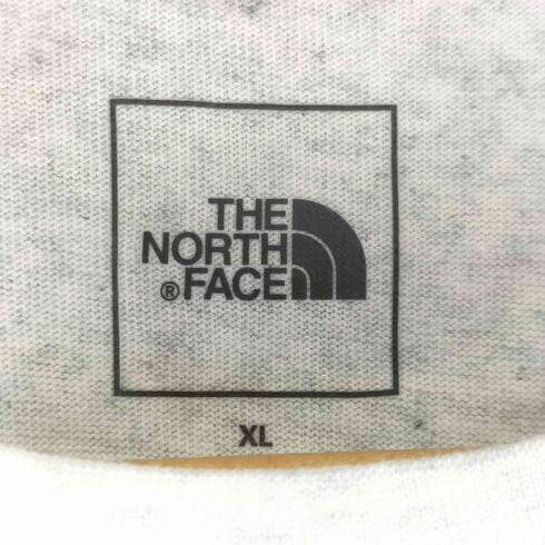 ザノースフェイス THE NORTH FACE Tシャツ 半袖 SS GEO SQUARE LG T メンズ import:XL