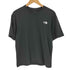 ザノースフェイス THE NORTH FACE Bug Free Tee バグ フリー ティー S/S Tシャツ レディース import:L