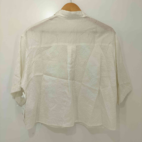 デミルクスビームス Demi-Luxe BEAMS 24SS シャドーストライプ シャツ レディース