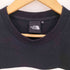 ザノースフェイス THE NORTH FACE S/S Trans Antarctica Tee メンズ import:M