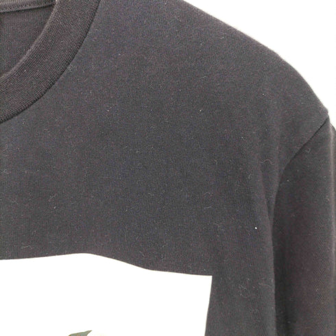 ザノースフェイス THE NORTH FACE S/S Trans Antarctica Tee メンズ import:M