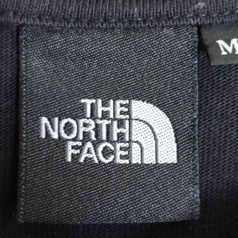 ザノースフェイス THE NORTH FACE S/S Trans Antarctica Tee メンズ import:M
