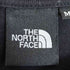 ザノースフェイス THE NORTH FACE S/S Trans Antarctica Tee メンズ import:M
