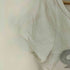 ナインティナインティ 9090 OG Logo Of f Shoulder Glitter Tee レディース import:M