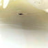 ジャックムス JACQUEMUS Soft Pearl and Sail メンズ JPN:29.5