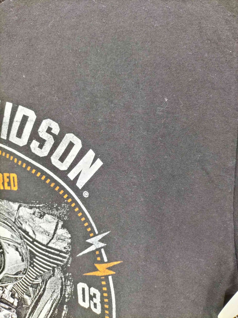 ハーレーダビッドソン HARLEY-DAVIDSON 熊本 クルーネックTシャツ メンズ JPN:M