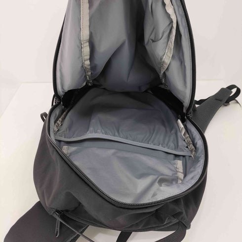 ザノースフェイス THE NORTH FACE GEMINI22 メンズ