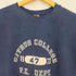 チャンピオン Champion 70-76年製 単色タグ 前期 USA製 REVERSE WEAVE ラバープリント アーチ カプセル3段 カレッジ スウェット メンズ import:XL