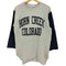 ザコットンエクスチェンジ THE COTTON EXCHANGE 90s USA製 アーチ2段 長袖Tシャツ メンズ import:L