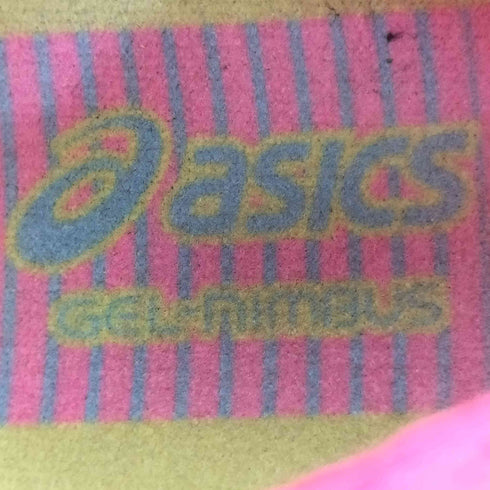 アシックス ASICS GEL-Nimbus 22 レディース JPN:24